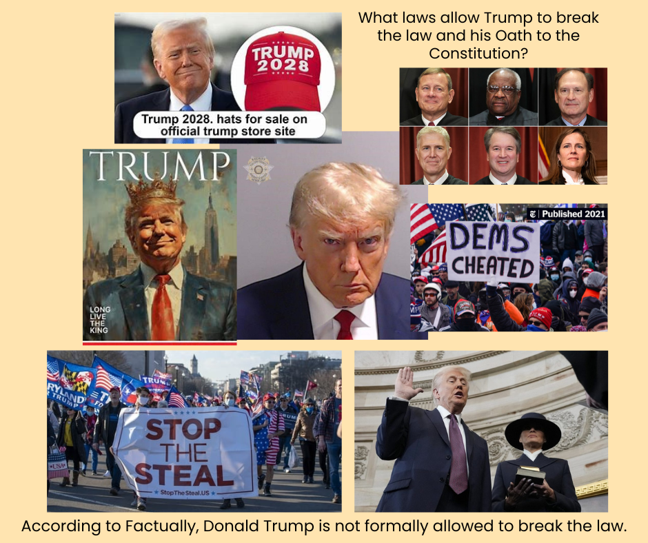 Trump's Mug Shot is in the center surrounded by the Trump 2028 red hat, the MAGA 6 Supreme Court Justices, Trump with a King's crown on his head, DEMS cheated rally, STOP THE STEAL rally, and Trump being sworn in without putting his hand on the Bible.
